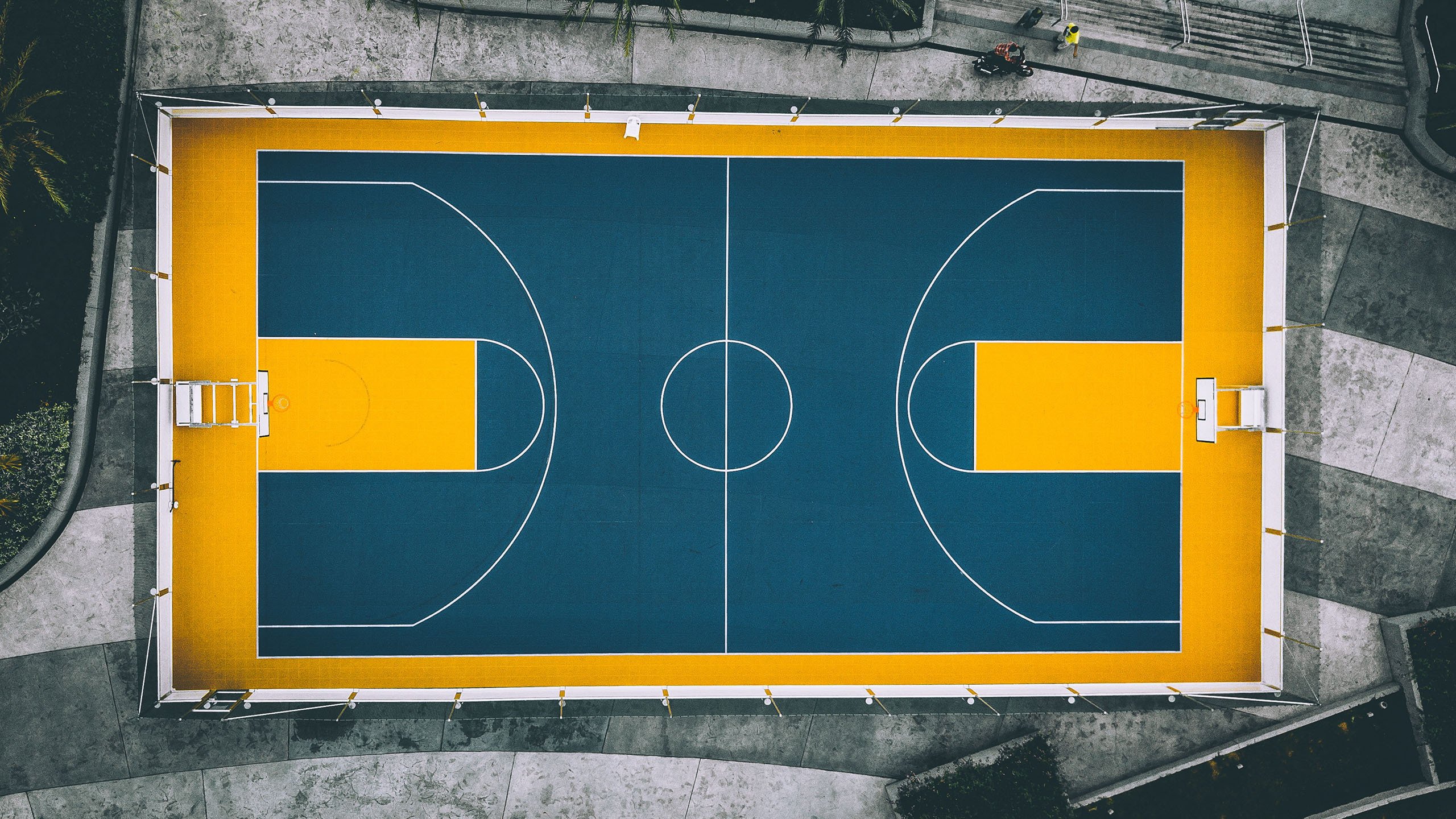 包含官方：Faker我将化身NBA大的词条|幸运鱼官网